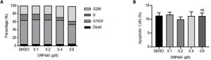 XRP44X Enhances the Cytotoxic Activity of Natural Killer Cells by Activating the c-JUN N-Terminal Kinase Signaling Pathway.